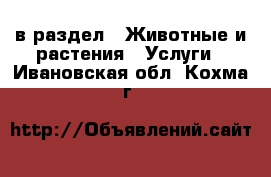  в раздел : Животные и растения » Услуги . Ивановская обл.,Кохма г.